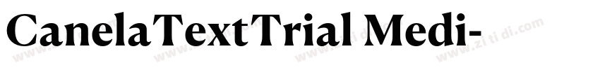 CanelaTextTrial Medi字体转换